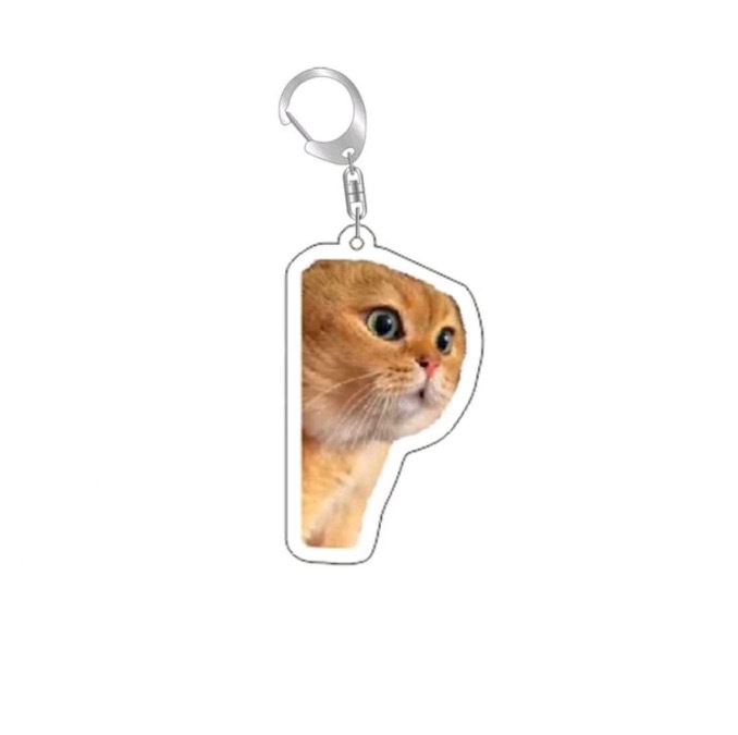 ホットスタイルのネットセレブ猫頭表情キーホルダー、砂の彫刻、 - Badminton Meme のレビューと価格