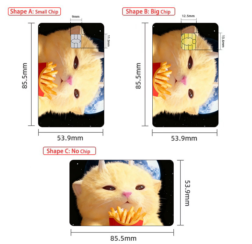 かわいい猫のミーム クレジットカード スキン ステッカー 猫 - Badminton Meme のレビューと価格