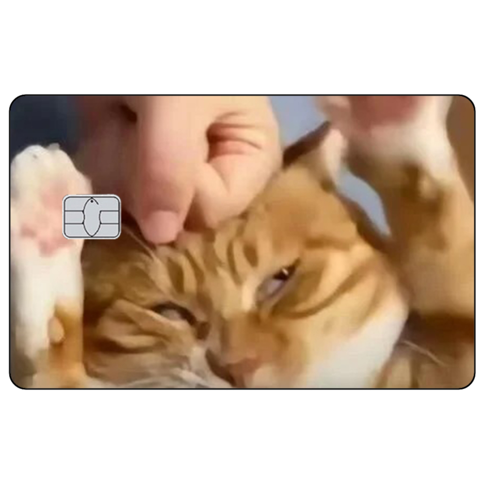 かわいい猫のミーム クレジットカード スキン ステッカー 猫 - Badminton Meme のレビューと価格
